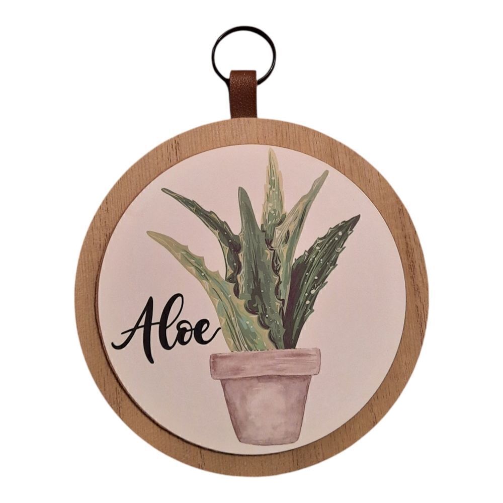 Aloe Plant Wall Hanging Decor